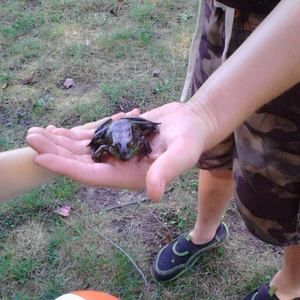 Meet your Posher, Nicolas